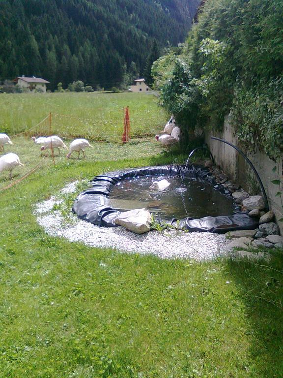 Luenerhof Guest House Neustift im Stubaital Bagian luar foto